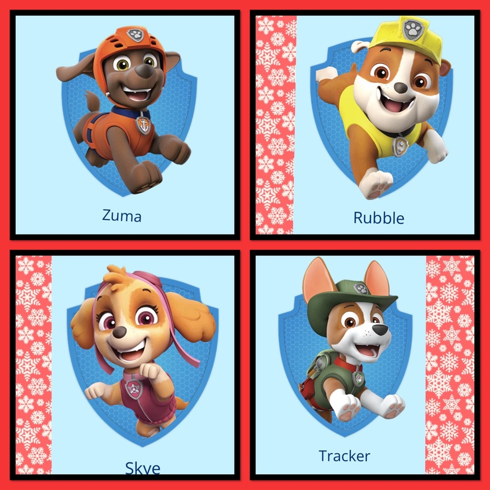 🐾New🐾Paw Patrol Action Figures 12 piece set🐾 - Picture 6 of 8